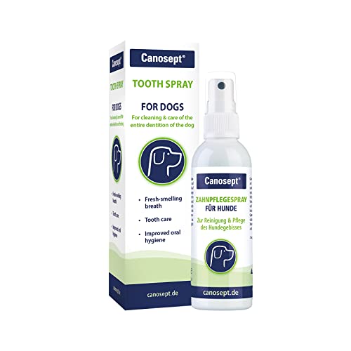Canosept Spray de Cuidado Dental de perros 100ml - Plaque off - Para una limpieza eficaz, higiene bucal - Ayuda Contra el Mal Aliento de perros