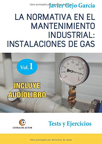 LA NORMATIVA EN EL MANTENIMIENTO INDUSTRIAL: INSTALACIONES DE GAS. VOLUMEN I: Tests y Ejercicios.