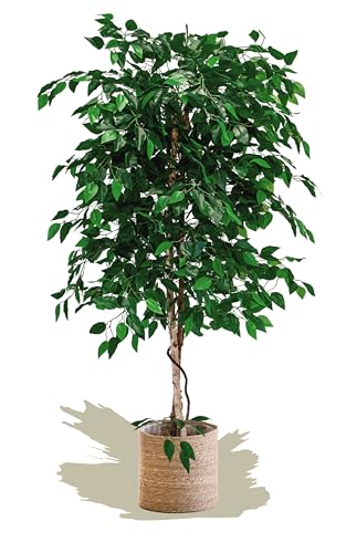 Maia Shop Ficus Artificial de 150 cm de Altura para Decoración de Hogar y Oficina, Árbol, Planta Artificial Decorativa Hiperrealista con Tronco Natural