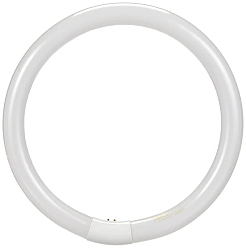 Osram Lumilux - Casquillo para lámpara fluorescente, L 32W/ 840, blanco frío, circular, 2100 lm, 9000 h