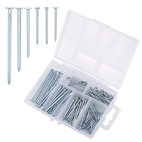 240 PCS Clavos Surtidos Galvanizados Clavos para Madera 6 Tamaños Clavos Pared para Reparación Madera Bricolaje Colgar Cuadros Marco Espejo Construcción Hogar