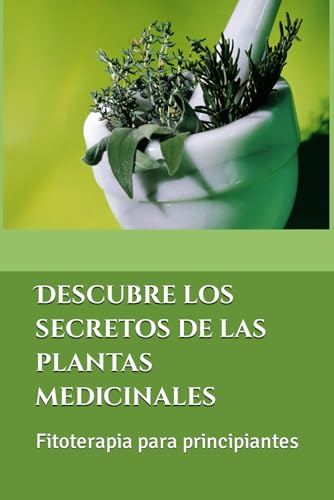 Descubre los secretos de las plantas medicinales: Fitoterapia para principiantes