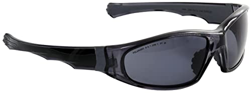 Eagle EAPOL - Gafas de protección laboral con lentes polarizadas de policarbonato, color gris