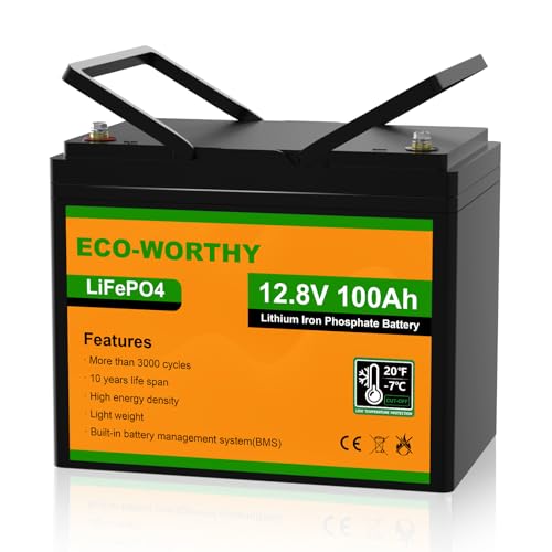 ECO-WORTHY Bateria Litio 12V 100Ah Bateria Lifepo4 con Protección BMS y 3000 Ciclos, Protección Contra Bajas Temperaturas, para Autocaravana, Sistema Placa Solar, Barco, Hogar, Kit Solar, Camping