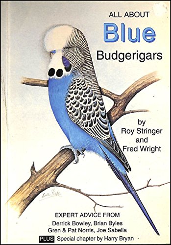 Grey and Grey Green Budgerigars (All About Series)