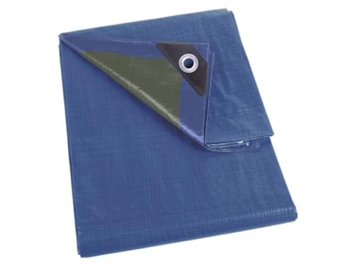 Perel 70-0204 - Lona para cubrir (2 x 4 m), color azul y verde