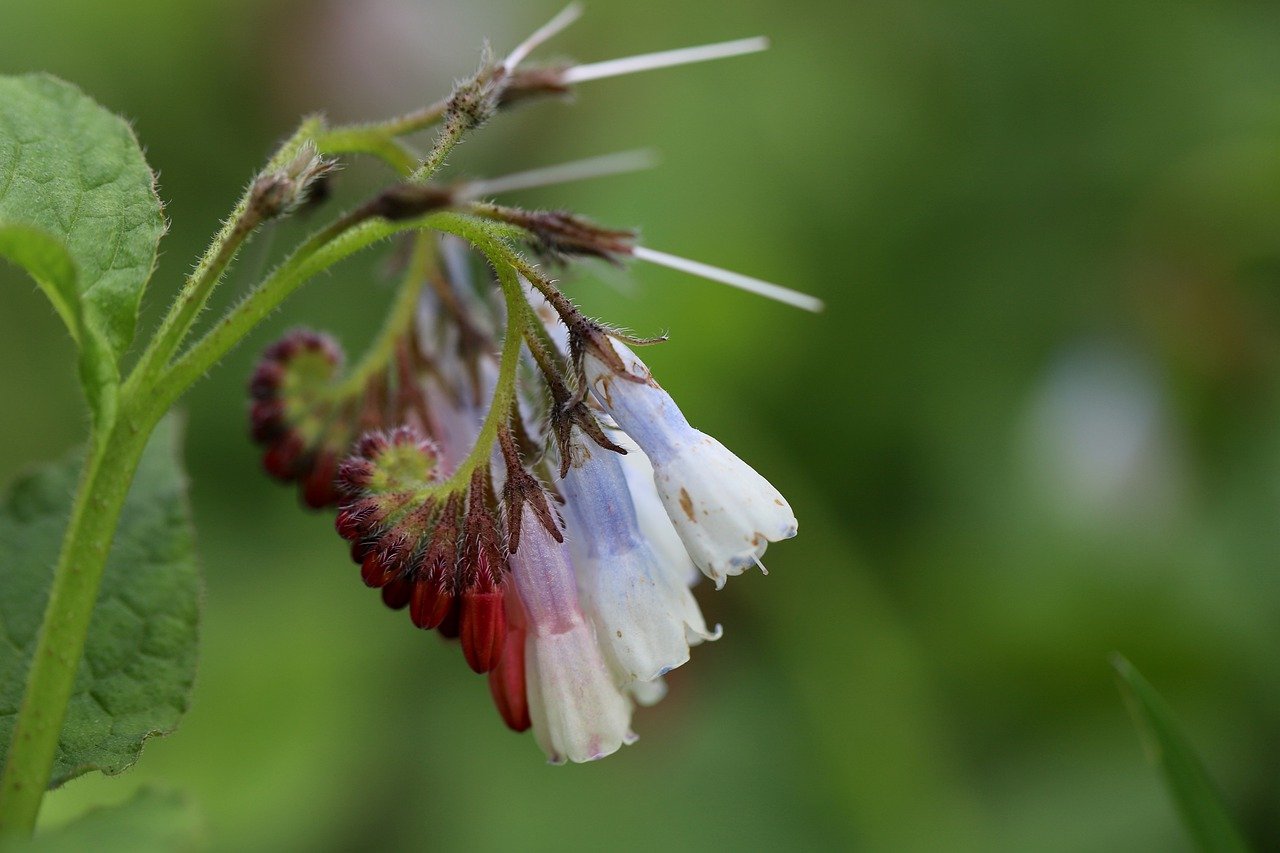 ¿Qué significa la palabra Dosh?